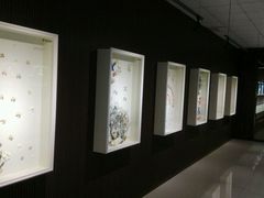 -青岛贝壳博物馆
