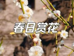 -北京明城墙遗址公园