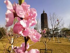 -西海子公园