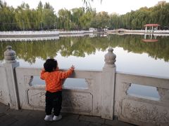 -丰台花园