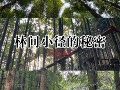 -山王坪喀斯特国家生态公园