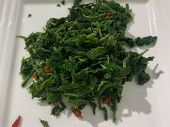 护肝桑叶苗-归元·云集斋素菜馆