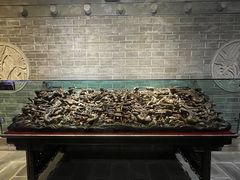 -乐山乌木文化博览苑