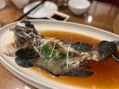 碧波青斑-青岛海景花园大酒店·白果树餐厅青岛菜
