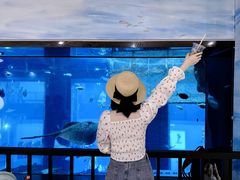 -乐从天佑城海洋馆