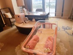 -巍阁月子中心(长沙旗舰店)