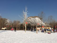 -北京亚布洛尼朝阳公园滑雪场