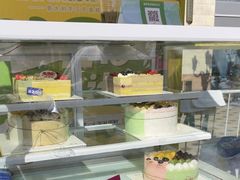 -维尔纳斯·生日蛋糕动物奶油冰淇淋蛋糕(人大店)