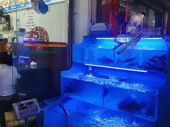 -韩妹鱼庄·泸定老字号(泸定店)