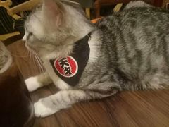 -万小咖.猫咖(中山路天虹店)