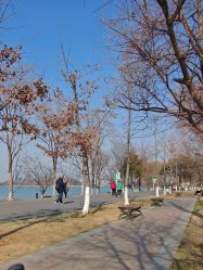 -玄武湖景区-情侣园游乐场