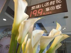 -奈瑞儿美颜美养SPA