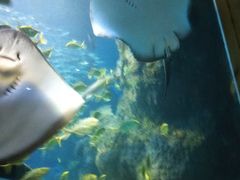 -左海海底世界