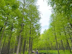 -尚湖风景区