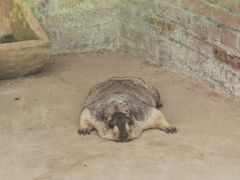 -青岛森林野生动物世界