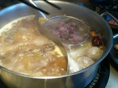 -手选潮汕鲜活牛肉火锅(二七广场店)