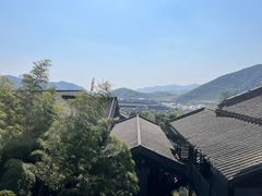 -大唐贡茶院