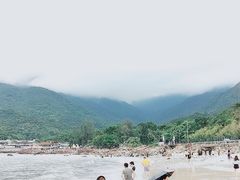 -杨梅坑