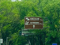 -东平国家森林公园