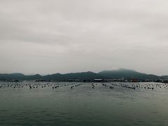 -东山码头