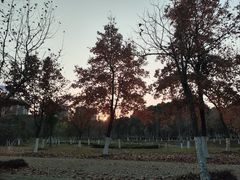 -阳澄湖半岛旅游度假区