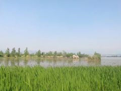 -西昌邛海湿地