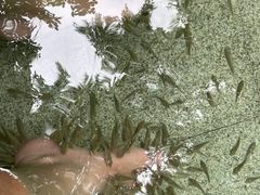 -碧水湾温泉