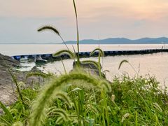 -上海市保健医疗中心