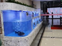 -香山湖渔家大院