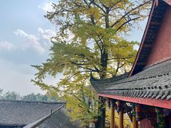 -金堂县云顶石城风景区