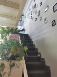 -起点潮色造型