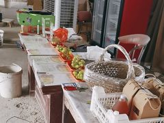 -马陆小张葡萄园农家乐