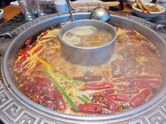 -杨肥肠火锅大排档(火车站花园店)