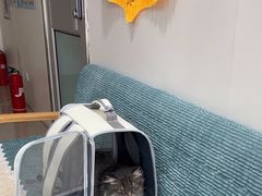 -佳雯宠物医院·皮肤科·内外科(春晓路分院)