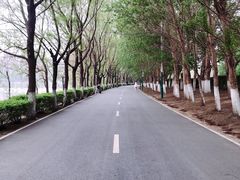 -长白岛森林公园