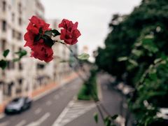 -怪 kafe.