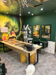 -神奇动物撸宠馆·羊驼·小浣熊·异宠(豫园店)