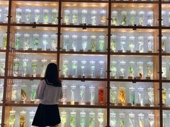 -南京医科大学(江宁校区)