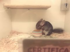 -龙猫仔乐园(惠福东路店)