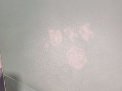 -紫光园·烤鸭·北京菜(劲松店)