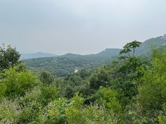 -北京西山国家森林公园