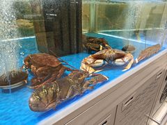 -哈尔信阳光农园超市(沈阳三台子万象汇店)