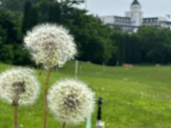 -棒棰岛宾馆景区