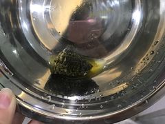-暖阳宠物医院·犬猫康复中心·骨科