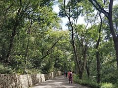 -紫金山山顶公园