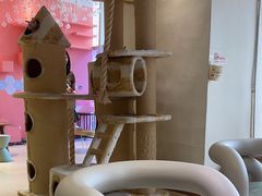 -藏猫猫咖啡主题馆(中央大道店)