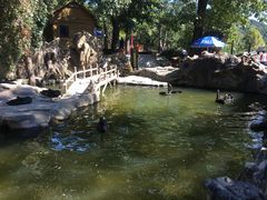 -燕塞湖鸟语林景区
