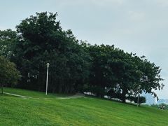 -深圳湾公园(南山区)