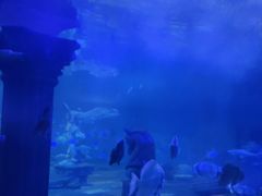 -梦幻海洋王国(吾悦广场张家港店)