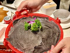-红鼎坊·老成都火锅(新南门店)